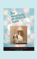 Les aventures de Câlin le lapin et les émotions ensemble