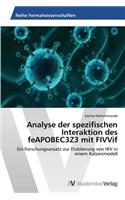 Analyse der spezifischen Interaktion des feAPOBEC3Z3 mit FIVVif