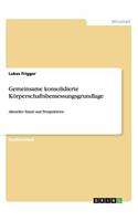 Gemeinsame konsolidierte Körperschaftsbemessungsgrundlage: Aktueller Stand und Perspektiven