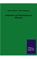 Anatomie Und Physiologie Der Pflanzen