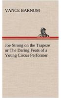 Joe Strong on the Trapeze or The Daring Feats of a Young Circus Performer