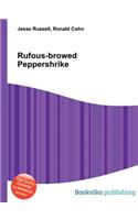 Rufous-Browed Peppershrike
