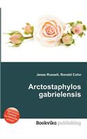 Arctostaphylos Gabrielensis