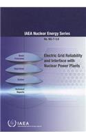 Electric Grid Reliability and Interface with Nuclear Power Plants