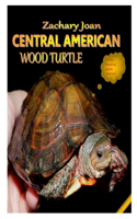 Central American Wood Turtle