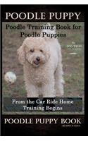 Poodle Puppy, Poodle Training Book for Poodle Puppies By D!G THIS DOG Training, From the Car Ride Home, Training Begins, Poodle Puppy Book