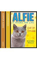 Alfie Cat In Trouble