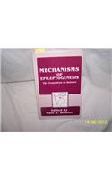 MECHANISMS OF EPILEPTOGENESIS