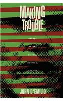 Making Trouble: Essays on Gay History, Politics, and the University