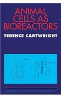 Animal Cells as Bioreactors