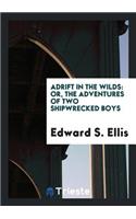 Adrift in the Wilds