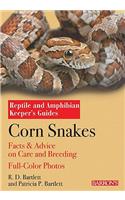 Corn Snakes