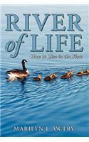 River of Life - How to Live in the Flow