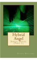Hybrid Angel