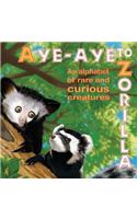 Aye-Aye to Zorilla