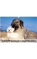 Amities Animales Improbables 2017: Merveilleuses Amities du Monde Animal(Calvendo Animaux)