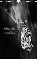 Naturellement En Noir Et Blanc 2018