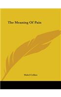 The Meaning Of Pain