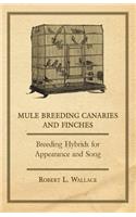 Mule Breeding Canaries and Finches - Breeding Hybrids for Appearance and Song
