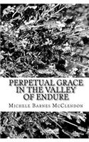 Perpetual Grace in the Valley of Endure