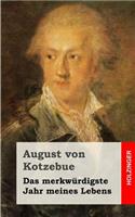 Das merkwürdigste Jahr meines Lebens