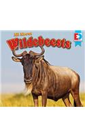 All about Wildebeests