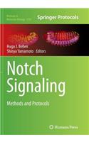 Notch Signaling