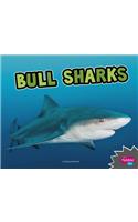 Bull Sharks