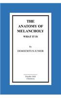 The Anatomy Of Melancholy What It Is