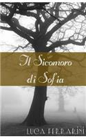 Sicomoro di Sofia