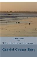 Zach Dill in The Endless Summer