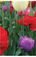 Tulips: Journal(In the Garden)