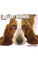 Just Basset Hounds 2019 Box Calendar (Dog Breed Calendar)