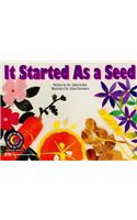 It Started as a Seed