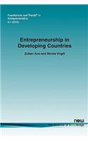 Entrepreneurship in Developing Countries