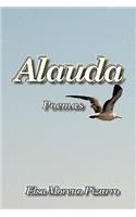 Alauda