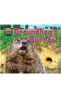 Groundhog's Burrow