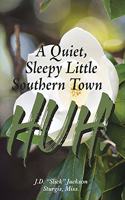 Quiet, Sleepy Little Southern Town HUH!