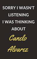 Sorry I Wasn't Listening I Was Thinking About Canelo Alvarez