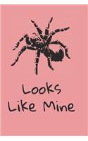 Looks like mine pink tarantula notebook
