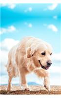 Golden Retriever Dog Pup Puppy Doggie Notebook Bullet Journal Diary Composition Book Notepad - Blue Sky