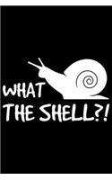 What The Shell?!