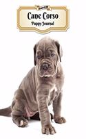 2020 Cane Corso Puppy Journal: Weekly Planner - 12 Months - 107 pages 8.5 x 11 in. - Calendar - Diary - Organizer - Vaccinations - Vet Appointments - Half Spread Wide Ruled Pages
