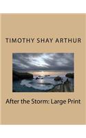 After the Storm: Large Print