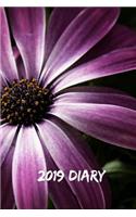 2019 Diary: African Daisy Page-A-Day Planner (6x9 390 Pages A5)