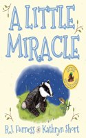 Little Miracle