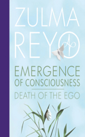 Emergence Of Conciousness