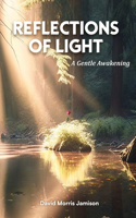 Reflections of Light