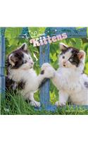 Kittens, I Love 2020 Square Foil