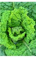 Savoy Cabbage in the Garden Journal: Take Notes, Write Down Memories in this 150 Page Lined Journal